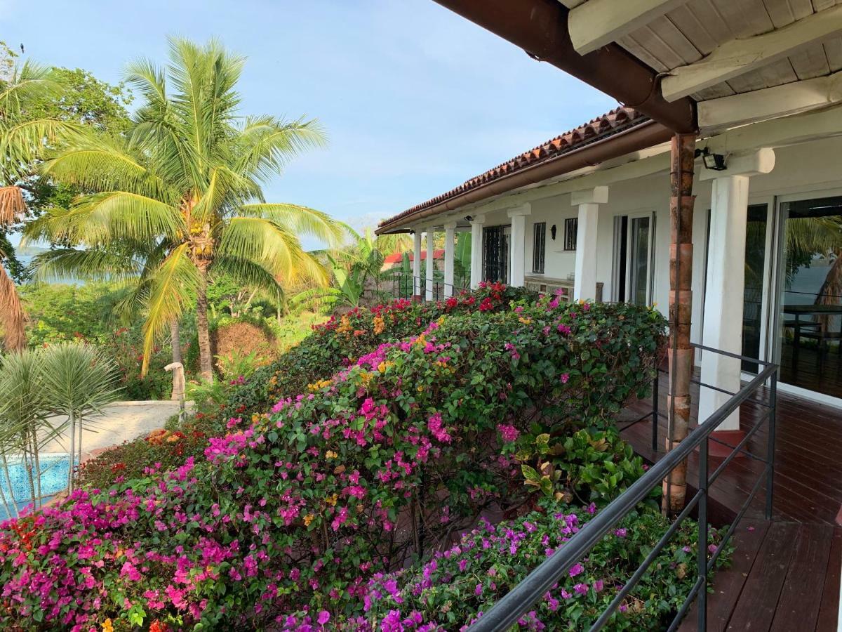 Boca Brava Paradise Bed & Breakfast โบกา ชิกา ภายนอก รูปภาพ