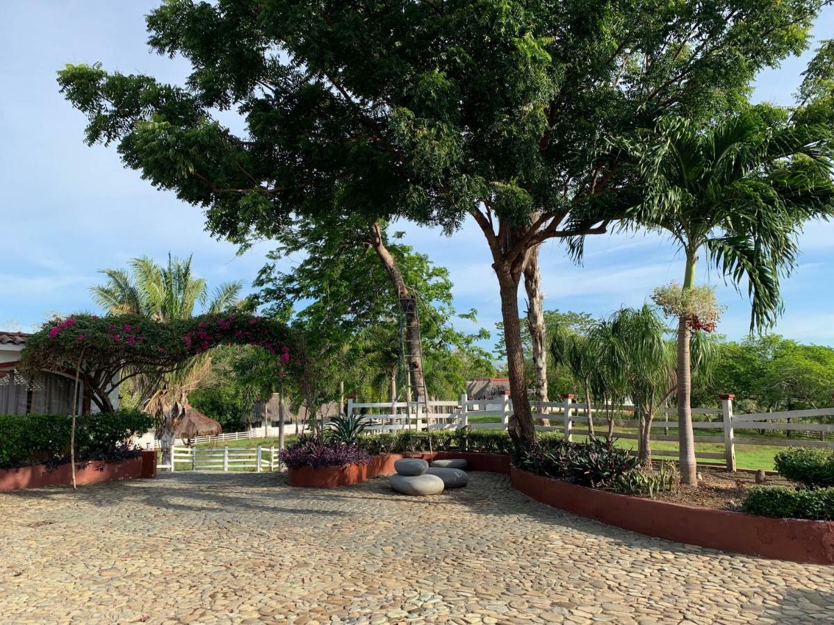 Boca Brava Paradise Bed & Breakfast โบกา ชิกา ภายนอก รูปภาพ