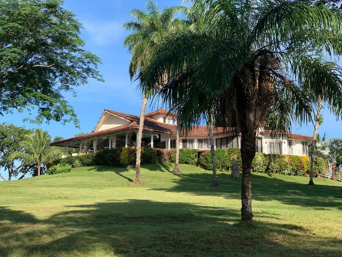 Boca Brava Paradise Bed & Breakfast โบกา ชิกา ภายนอก รูปภาพ