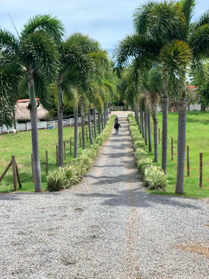 Boca Brava Paradise Bed & Breakfast โบกา ชิกา ภายนอก รูปภาพ